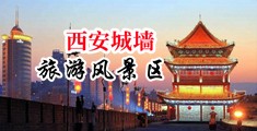 艹美女老师网站中国陕西-西安城墙旅游风景区